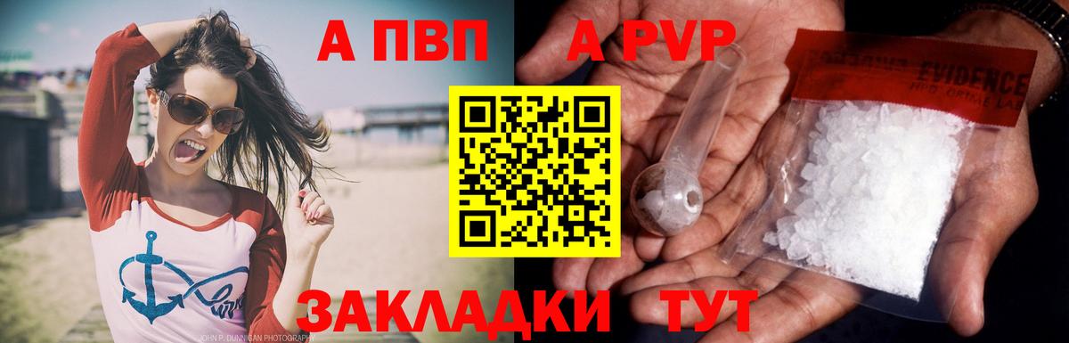 A-PVP СК КРИС Ржев
