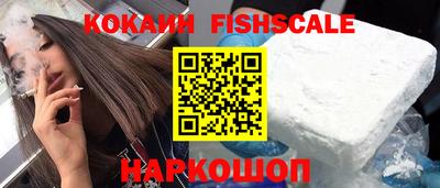 гидропоника Сланцы